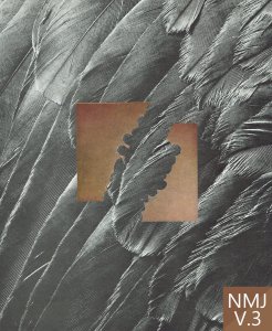NMJ V3 cover 2